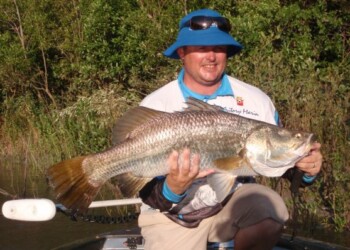 Reader’s Story: Anticipation on the Alligator